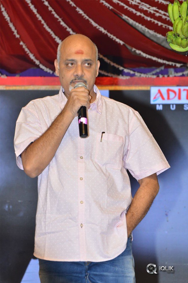 Srinivasa-Kalyanam-Movie-Audio-Launch-Photos